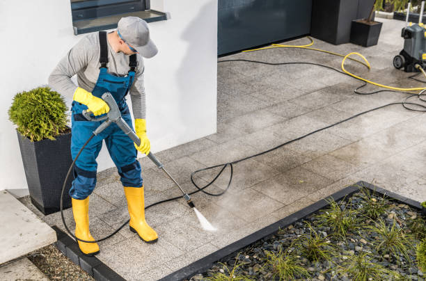 Best Affordable Power Washing  in Occidental, CA